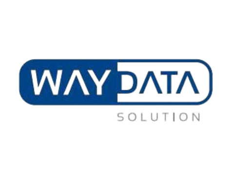 Way Data - Logo Site